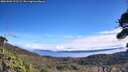 ./images/calvert/fitz-hugh-hecate/20261002/fitz-hugh-hecate20261002_121501M.jpg