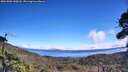 ./images/calvert/fitz-hugh-hecate/20261002/fitz-hugh-hecate20261002_130502M.jpg