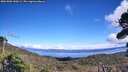 ./images/calvert/fitz-hugh-hecate/20261002/fitz-hugh-hecate20261002_140501M.jpg
