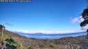 ./images/calvert/fitz-hugh-hecate/20261002/fitz-hugh-hecate20261002_142001M.jpg
