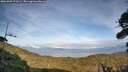 ./images/calvert/fitz-hugh-hecate/20261002/fitz-hugh-hecate20261002_171001M.jpg