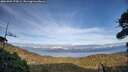 ./images/calvert/fitz-hugh-hecate/20261002/fitz-hugh-hecate20261002_174501M.jpg