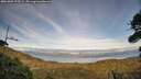 ./images/calvert/fitz-hugh-hecate/20261002/fitz-hugh-hecate20261002_175502M.jpg