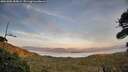 ./images/calvert/fitz-hugh-hecate/20261002/fitz-hugh-hecate20261002_185001M.jpg