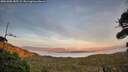 ./images/calvert/fitz-hugh-hecate/20261002/fitz-hugh-hecate20261002_185502M.jpg