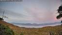 ./images/calvert/fitz-hugh-hecate/20261002/fitz-hugh-hecate20261002_191501M.jpg