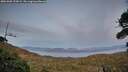 ./images/calvert/fitz-hugh-hecate/20261002/fitz-hugh-hecate20261002_192002M.jpg