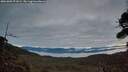 ./images/calvert/fitz-hugh-hecate/20261003/fitz-hugh-hecate20261003_071002M.jpg