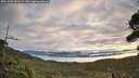 ./images/calvert/fitz-hugh-hecate/20261003/fitz-hugh-hecate20261003_081002M.jpg