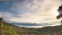 ./images/calvert/fitz-hugh-hecate/20261003/fitz-hugh-hecate20261003_092001M.jpg