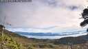 ./images/calvert/fitz-hugh-hecate/20261003/fitz-hugh-hecate20261003_103001M.jpg