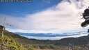 ./images/calvert/fitz-hugh-hecate/20261003/fitz-hugh-hecate20261003_104001M.jpg