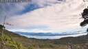 ./images/calvert/fitz-hugh-hecate/20261003/fitz-hugh-hecate20261003_104501M.jpg