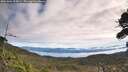 ./images/calvert/fitz-hugh-hecate/20261003/fitz-hugh-hecate20261003_105001M.jpg