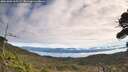 ./images/calvert/fitz-hugh-hecate/20261003/fitz-hugh-hecate20261003_105501M.jpg