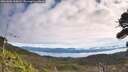 ./images/calvert/fitz-hugh-hecate/20261003/fitz-hugh-hecate20261003_110001M.jpg