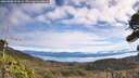 ./images/calvert/fitz-hugh-hecate/20261003/fitz-hugh-hecate20261003_111001M.jpg