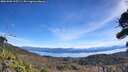 ./images/calvert/fitz-hugh-hecate/20261003/fitz-hugh-hecate20261003_115501M.jpg