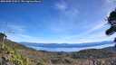 ./images/calvert/fitz-hugh-hecate/20261003/fitz-hugh-hecate20261003_122001M.jpg