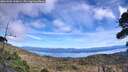./images/calvert/fitz-hugh-hecate/20261003/fitz-hugh-hecate20261003_130001M.jpg