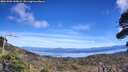./images/calvert/fitz-hugh-hecate/20261003/fitz-hugh-hecate20261003_140002M.jpg