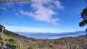 ./images/calvert/fitz-hugh-hecate/20261003/fitz-hugh-hecate20261003_142502M.jpg
