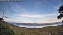 ./images/calvert/fitz-hugh-hecate/20261003/fitz-hugh-hecate20261003_184001M.jpg