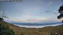 ./images/calvert/fitz-hugh-hecate/20261003/fitz-hugh-hecate20261003_190001M.jpg