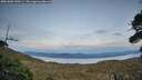./images/calvert/fitz-hugh-hecate/20261003/fitz-hugh-hecate20261003_190501M.jpg