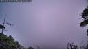 ./images/calvert/fitz-hugh-hecate/20261004/fitz-hugh-hecate20261004_074001M.jpg
