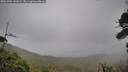 ./images/calvert/fitz-hugh-hecate/20261004/fitz-hugh-hecate20261004_141001M.jpg