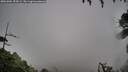 ./images/calvert/fitz-hugh-hecate/20261004/fitz-hugh-hecate20261004_154502M.jpg