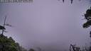 ./images/calvert/fitz-hugh-hecate/20261004/fitz-hugh-hecate20261004_190001M.jpg