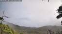 ./images/calvert/fitz-hugh-hecate/20261005/fitz-hugh-hecate20261005_111002M.jpg