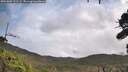 ./images/calvert/fitz-hugh-hecate/20261005/fitz-hugh-hecate20261005_111501M.jpg