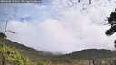 ./images/calvert/fitz-hugh-hecate/20261005/fitz-hugh-hecate20261005_112001M.jpg