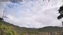 ./images/calvert/fitz-hugh-hecate/20261005/fitz-hugh-hecate20261005_113001M.jpg