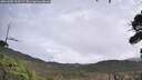 ./images/calvert/fitz-hugh-hecate/20261005/fitz-hugh-hecate20261005_113502M.jpg