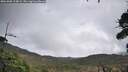 ./images/calvert/fitz-hugh-hecate/20261005/fitz-hugh-hecate20261005_114001M.jpg