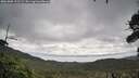 ./images/calvert/fitz-hugh-hecate/20261005/fitz-hugh-hecate20261005_121502M.jpg