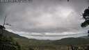 ./images/calvert/fitz-hugh-hecate/20261005/fitz-hugh-hecate20261005_124502M.jpg