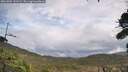 ./images/calvert/fitz-hugh-hecate/20261005/fitz-hugh-hecate20261005_131501M.jpg