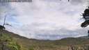 ./images/calvert/fitz-hugh-hecate/20261005/fitz-hugh-hecate20261005_132002M.jpg