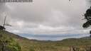 ./images/calvert/fitz-hugh-hecate/20261005/fitz-hugh-hecate20261005_142502M.jpg
