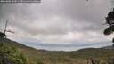 ./images/calvert/fitz-hugh-hecate/20261005/fitz-hugh-hecate20261005_143501M.jpg