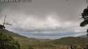 ./images/calvert/fitz-hugh-hecate/20261005/fitz-hugh-hecate20261005_153001M.jpg