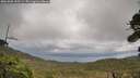 ./images/calvert/fitz-hugh-hecate/20261005/fitz-hugh-hecate20261005_153501M.jpg