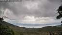 ./images/calvert/fitz-hugh-hecate/20261005/fitz-hugh-hecate20261005_154502M.jpg