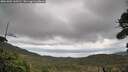 ./images/calvert/fitz-hugh-hecate/20261005/fitz-hugh-hecate20261005_160501M.jpg