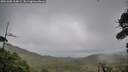 ./images/calvert/fitz-hugh-hecate/20261005/fitz-hugh-hecate20261005_164002M.jpg